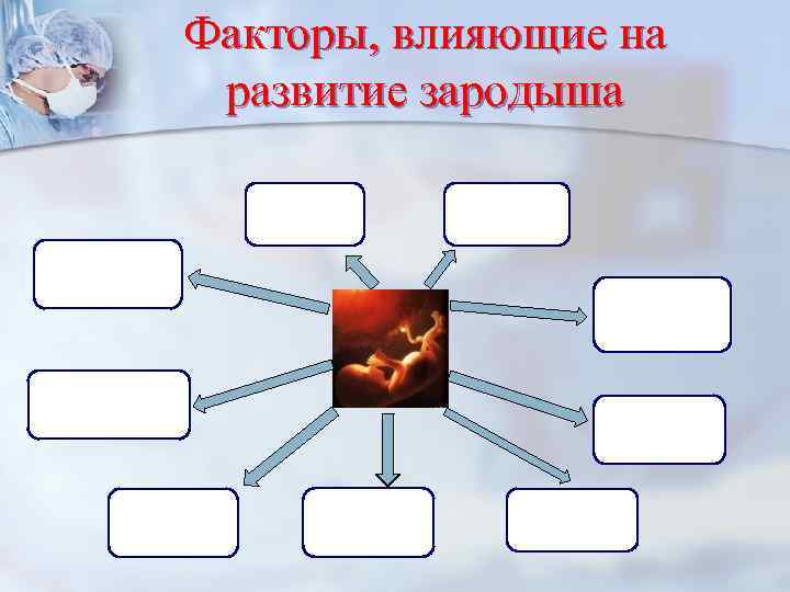 Факторы, влияющие на развитие зародыша 