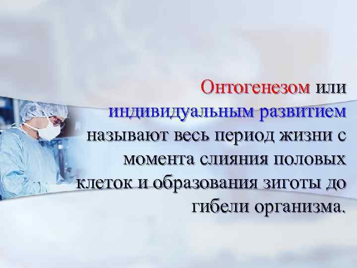  Онтогенезом или индивидуальным развитием называют весь период жизни с момента слияния половых клеток