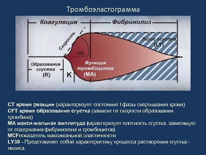 Тромбоэластограмма CT время реакции (характеризует состояние I фазы свертывания крови) CFT время образования сгустка