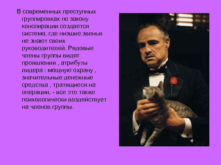 В современных преступных группировках по закону конспирации создается система, где низшие звенья не знают