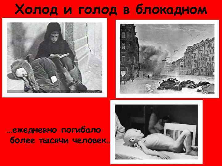 Холод и голод в блокадном …ежедневно погибало более тысячи человек… 