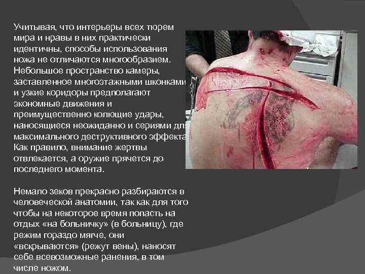 Учитывая, что интерьеры всех тюрем мира и нравы в них практически идентичны, способы использования