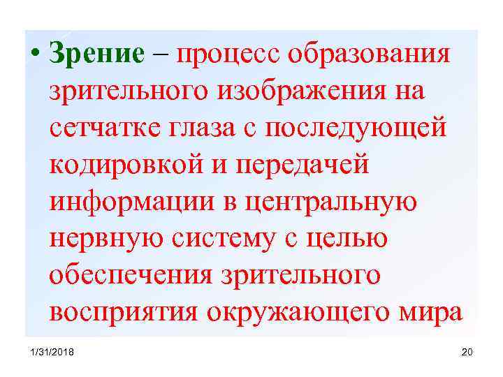  • Зрение – процесс образования зрительного изображения на сетчатке глаза с последующей кодировкой