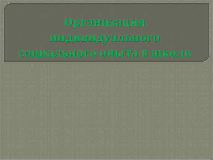 Организация индивидуального социального опыта в школе 