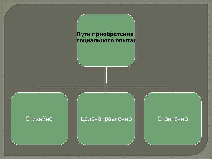 Пути приобретения социального опыта: Стихийно Целенаправленно Спонтанно 