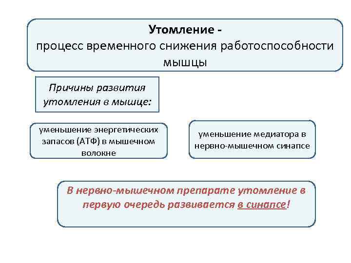 Утомление процесс временного снижения работоспособности мышцы Причины развития утомления в мышце: уменьшение энергетических запасов