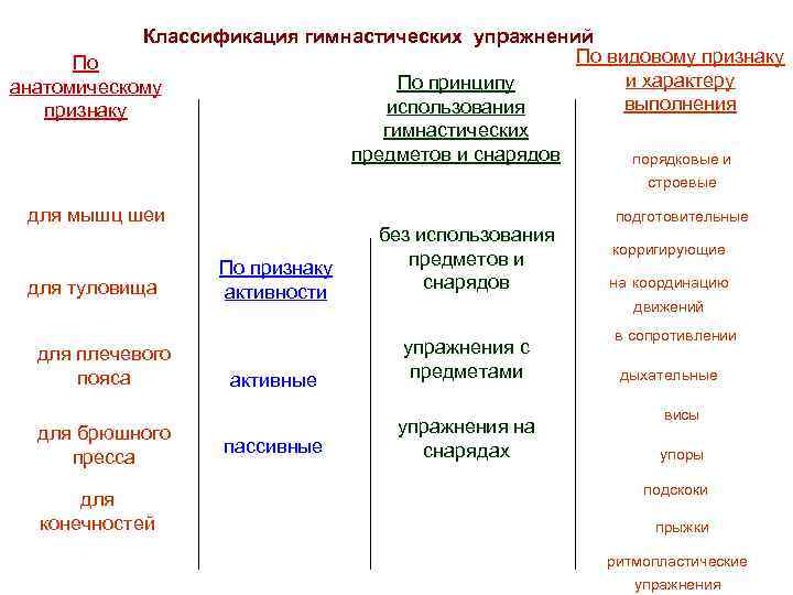 Классификация гимнастических упражнений По видовому признаку По и характеру По принципу анатомическому выполнения использования