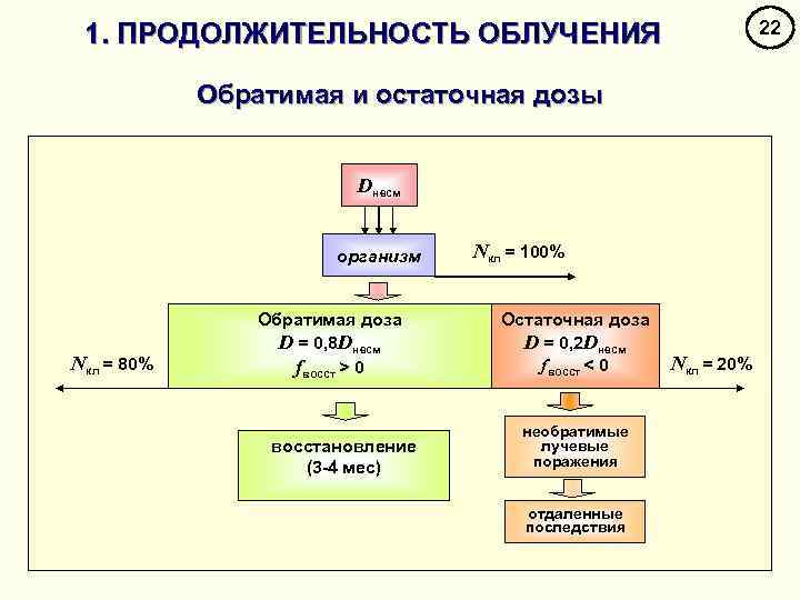 22 1. ПРОДОЛЖИТЕЛЬНОСТЬ ОБЛУЧЕНИЯ Обратимая и остаточная дозы Dнесм организм Nкл = 80% Обратимая