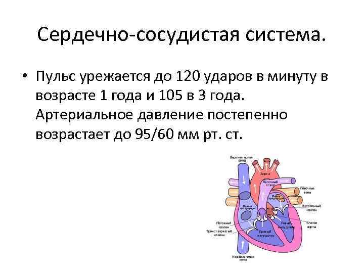 120 ударов в минуту что значит