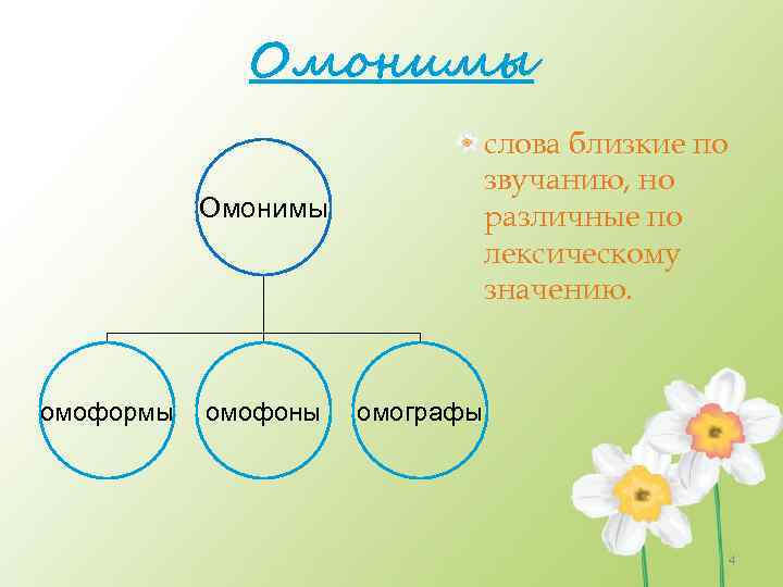 Омонимы слова близкие по звучанию, но различные по лексическому значению. Омонимы омоформы омофоны омографы