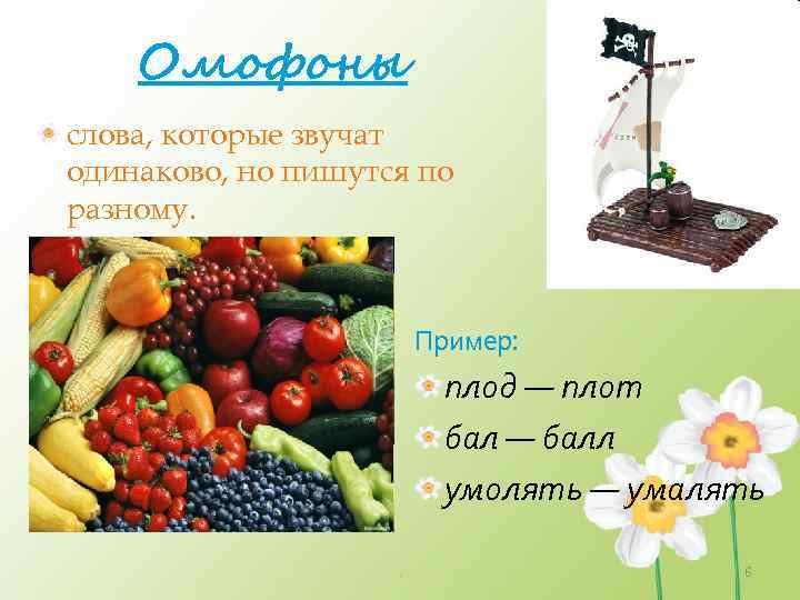 Омофоны слова, которые звучат одинаково, но пишутся по разному. Пример: плод — плот бал