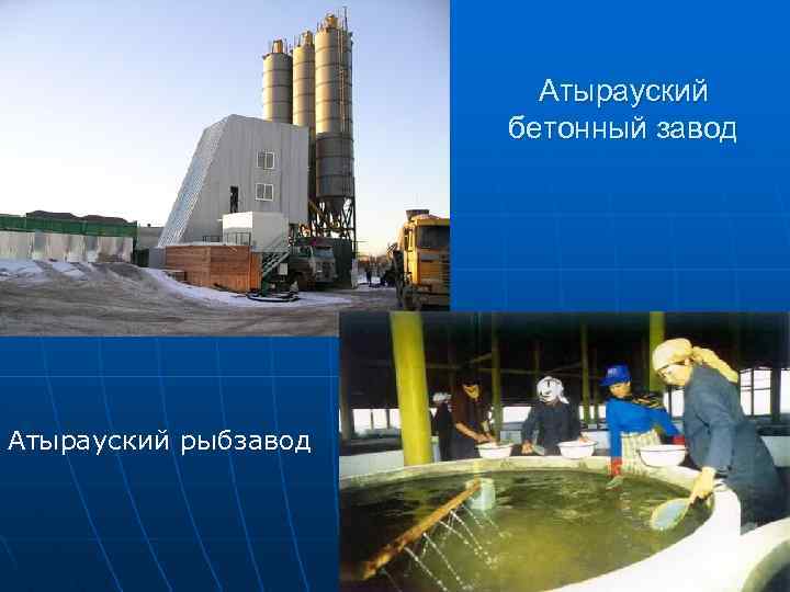 Атырауский бетонный завод Атырауский рыбзавод 