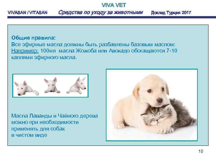 VIVA VET VIVASAN / VITASAN Средства по уходу за животными Доклад Турция 2017 Общие
