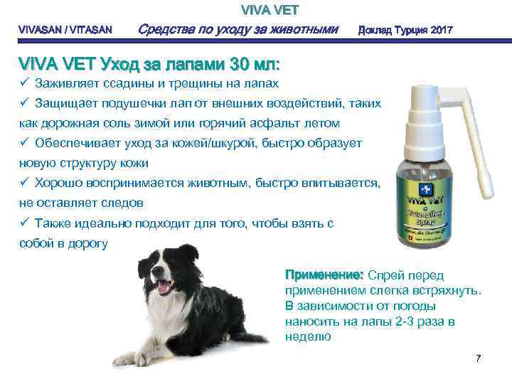 VIVA VET VIVASAN / VITASAN Средства по уходу за животными Доклад Турция 2017 VIVA