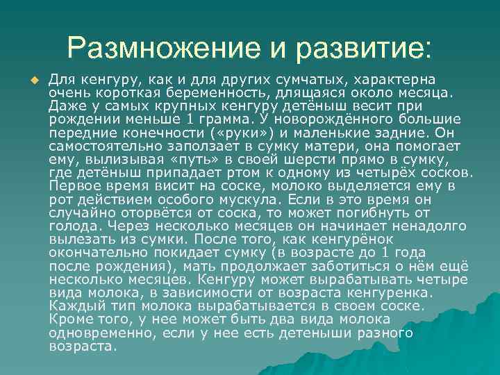 Размножение и развитие: u Для кенгуру, как и для других сумчатых, характерна очень короткая