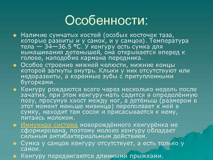 Особенности: u u u Наличие сумчатых костей (особых косточек таза, которые развиты и у
