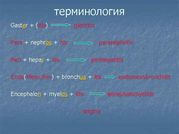 терминология Gaster + (itis) gastritis Para + nephros + itis paranephritis Peri + hepar