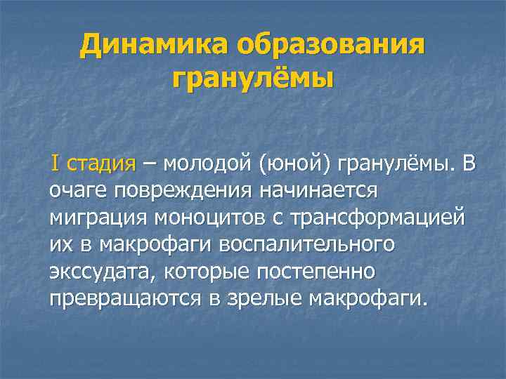 Динамика образования гранулёмы I стадия – молодой (юной) гранулёмы. В очаге повреждения начинается миграция