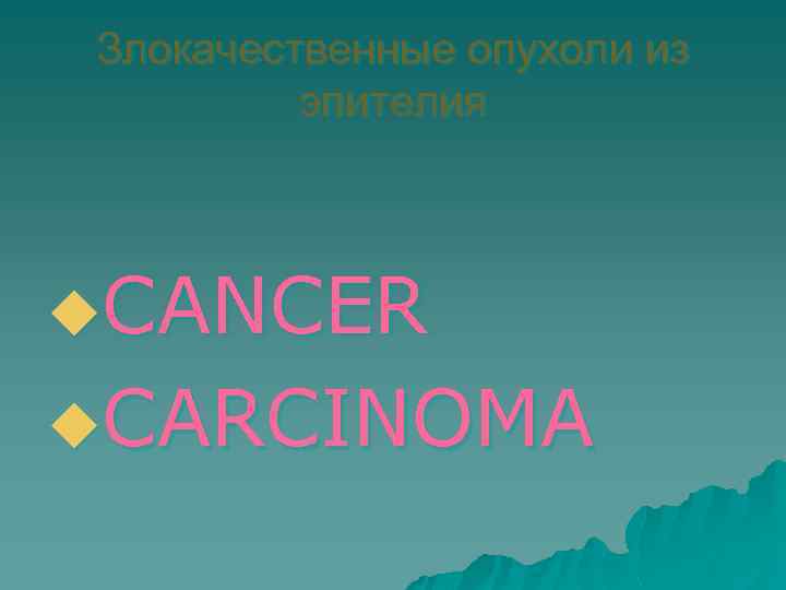 Злокачественные опухоли из эпителия u. CANCER u. CARCINOMA 