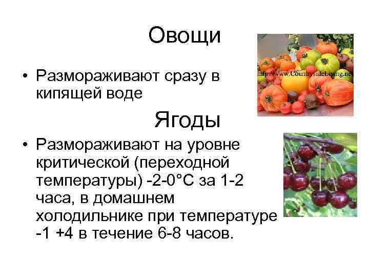 Овощи кипели. Способы разморозки овощей. Способ размораживания овощей. При какой температуре происходит разморозка ягод. Почему овощи не размораживают.