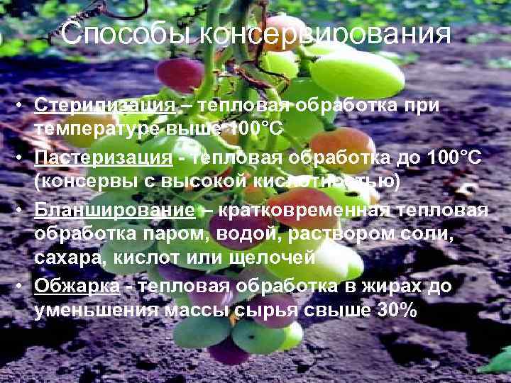 Способы консервирования • Стерилизация – тепловая обработка при температуре выше 100°С • Пастеризация -