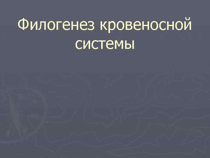 Филогенез кровеносной системы 
