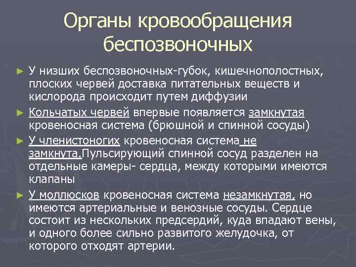 Органы кровообращения беспозвоночных У низших беспозвоночных-губок, кишечнополостных, плоских червей доставка питательных веществ и кислорода