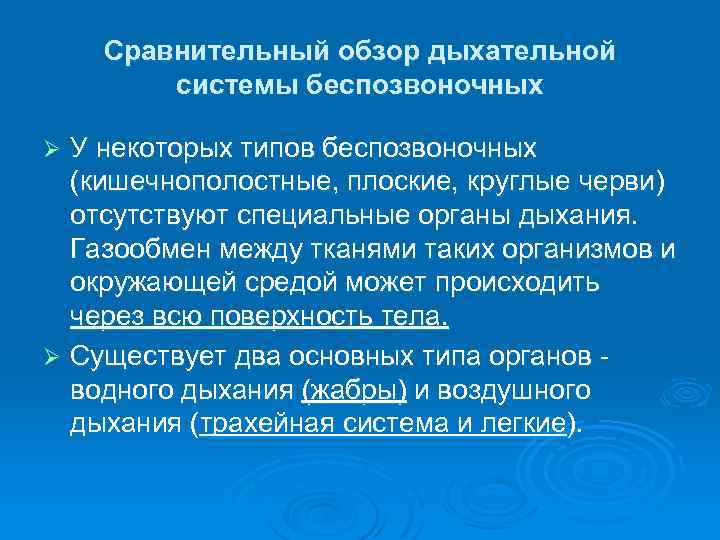 дыхание беспозвоночных