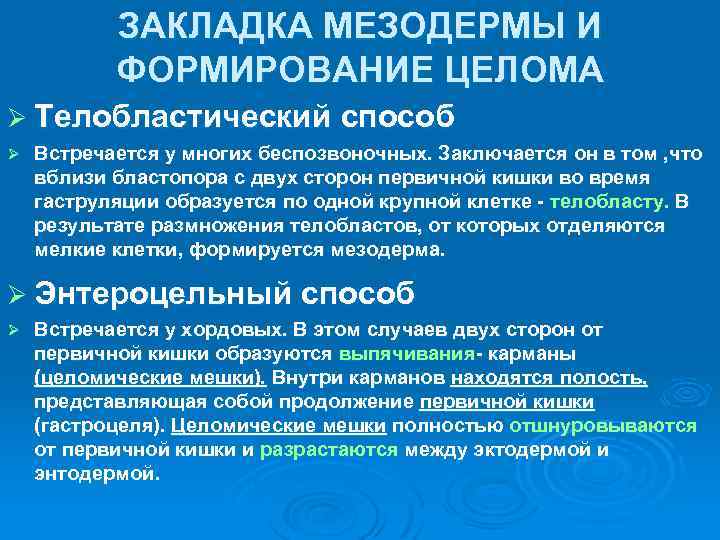 Схема возрастной периодизации онтогенеза человека