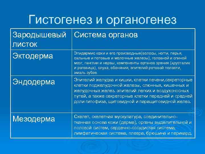 Гистогенез и органогенез Зародышевый Система органов листок Эпидермис кожи и его производные(волосы, ногти, перья,
