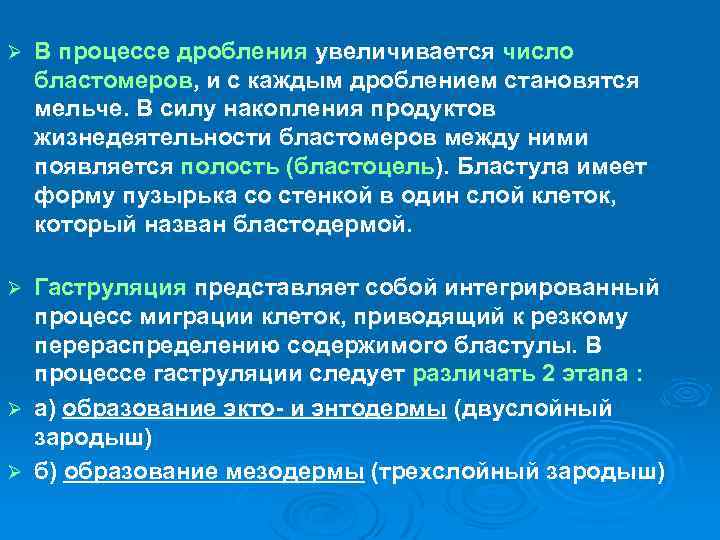 Ø В процессе дробления увеличивается число бластомеров, и с каждым дроблением становятся мельче. В