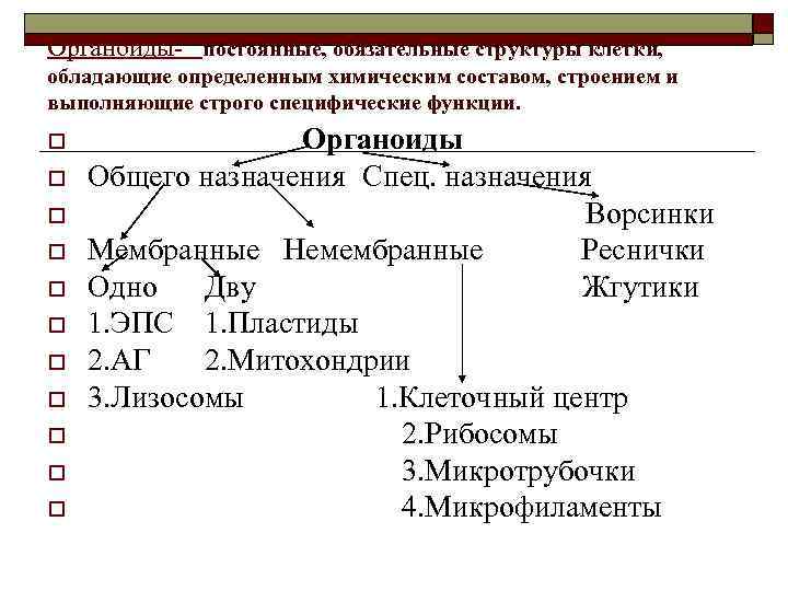 Органоиды постоянные, обязательные структуры клетки, обладающие определенным химическим составом, строением и выполняющие строго специфические