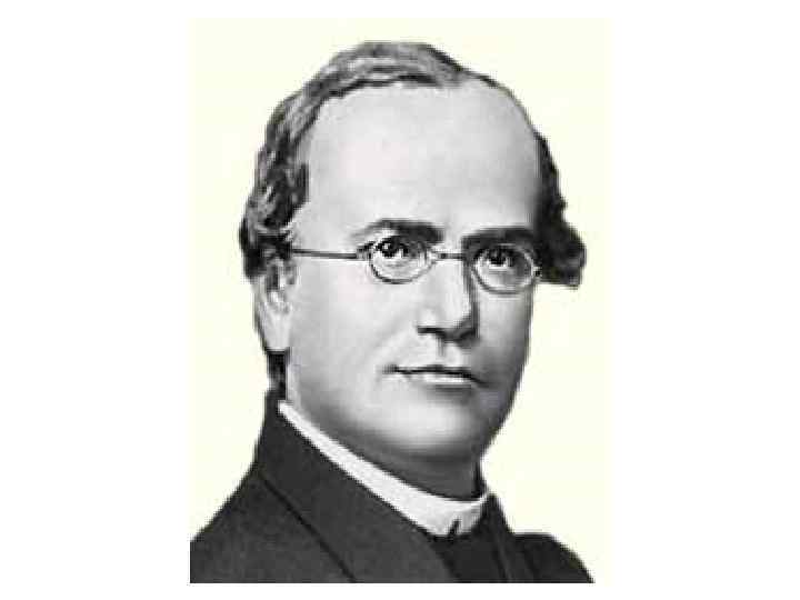 Грегор Мендель 