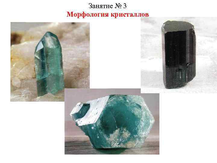Занятие № 3 Морфология кристаллов 