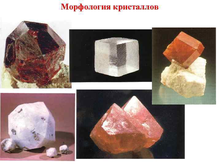 Морфология кристаллов 