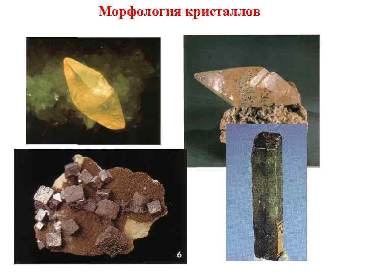 Морфология кристаллов 