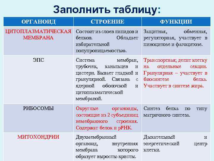 Заполнить таблицу: ОРГАНОИД СТРОЕНИЕ ЦИТОПЛАЗМАТИЧЕСКАЯ Состоит из слоев липидов и МЕМБРАНА белков. Обладает избирательной