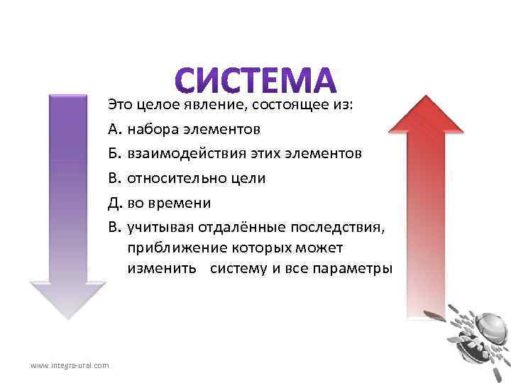 Это целое явление, состоящее из: А. набора элементов Б. взаимодействия этих элементов В. относительно