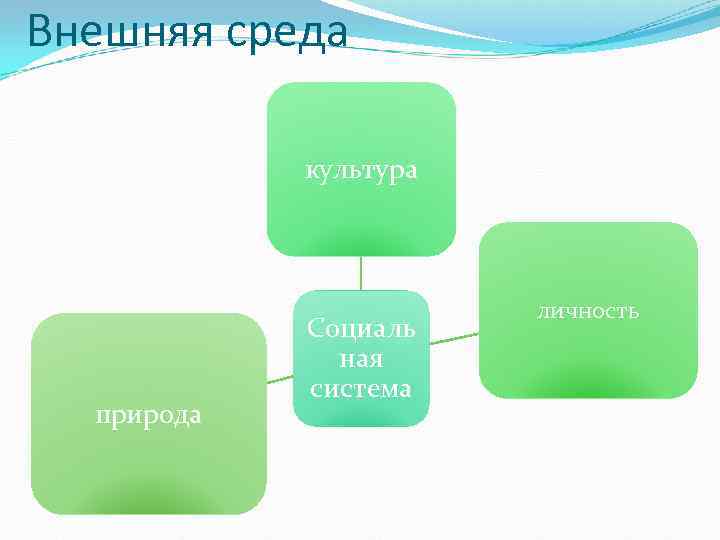Внешняя среда культура природа Социаль ная система личность 