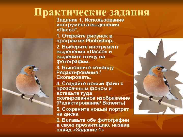 Практические задания Задание 1. Использование инструмента выделения «Лассо