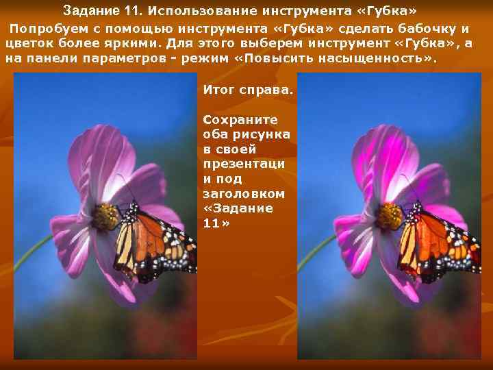 Задание 11. Использование инструмента «Губка» Попробуем с помощью инструмента «Губка» сделать бабочку и цветок