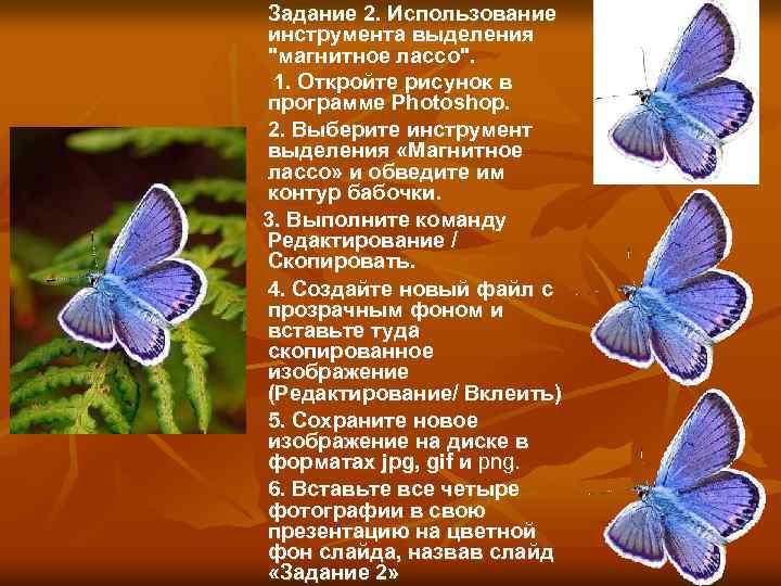 Задание 2. Использование инструмента выделения 