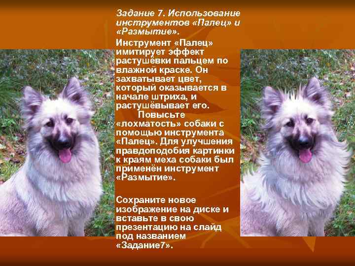 Задание 7. Использование инструментов «Палец» и «Размытие» . Инструмент «Палец» имитирует эффект растушёвки пальцем