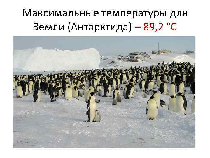 Максимальные температуры для Земли (Антарктида) – 89, 2 °C 