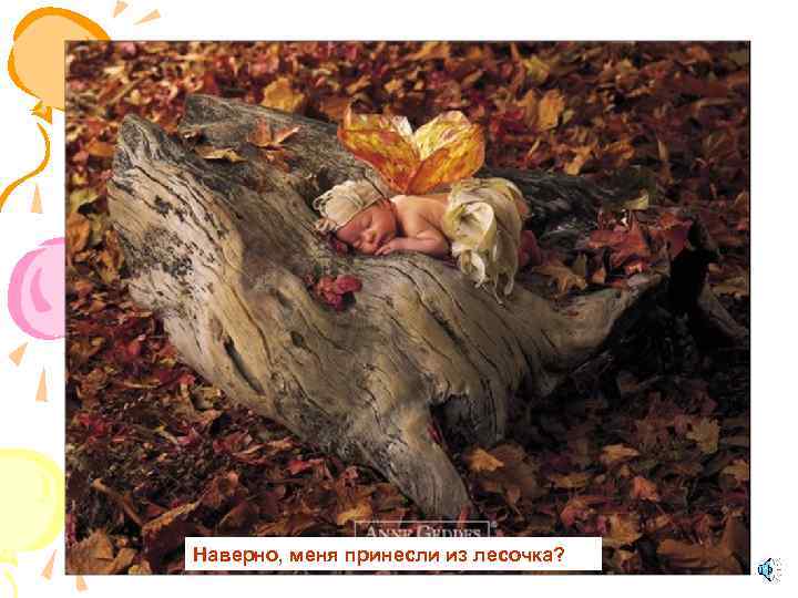 Наверно, меня принесли из лесочка? 