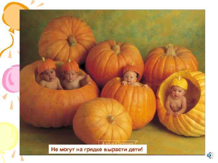 Не могут на грядке вырасти дети! 