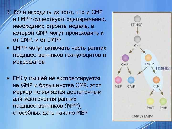 3) Если исходить из того, что и CMP и LMPP существуют одновременно, необходимо строить