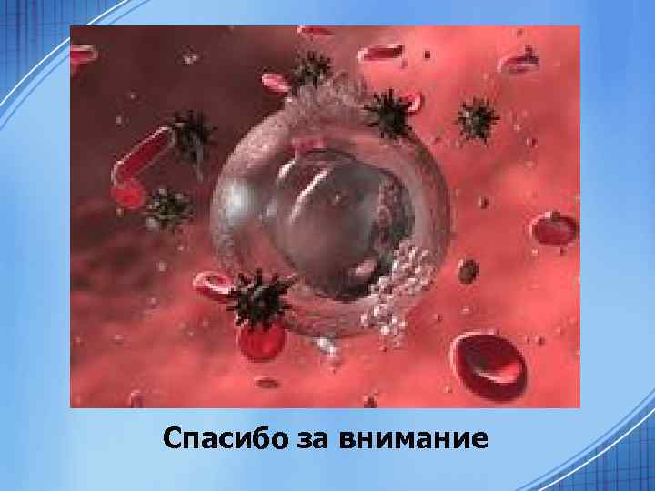 Спасибо за внимание 