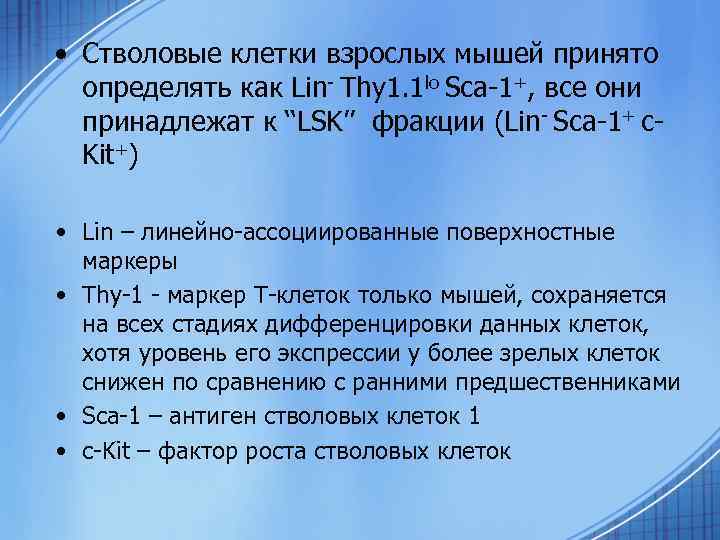  • Стволовые клетки взрослых мышей принято определять как Lin- Thy 1. 1 lo