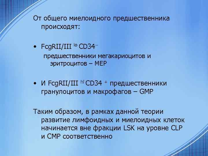 От общего миелоидного предшественника происходят: • Fcg. RII/III lo CD 34– предшественники мегакариоцитов и